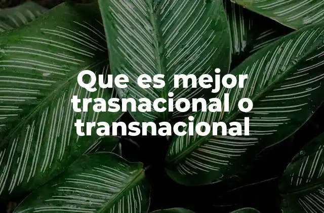 Que es Mejor Trasnacional o Transnacional