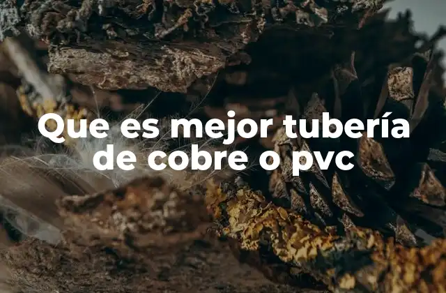 Que es Mejor Tubería de Cobre o Pvc