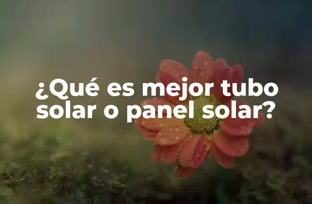 ¿qué es Mejor Tubo Solar o Panel Solar?