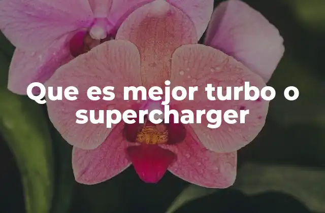 Que es Mejor Turbo o Supercharger