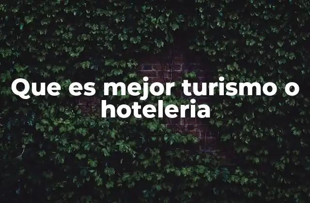 Que es Mejor Turismo o Hoteleria