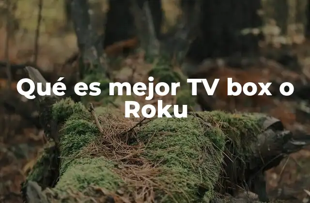 Qué es Mejor Tv Box o Roku