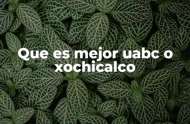 Que es Mejor Uabc o Xochicalco