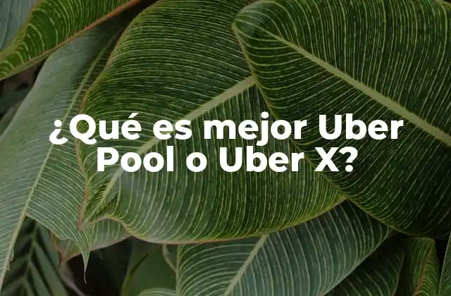 ¿qué es Mejor Uber Pool o Uber X? 2 Uber: opciones de viaje para cada necesidad