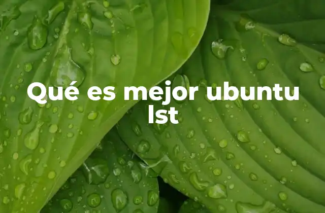 Qué es Mejor Ubuntu Lst