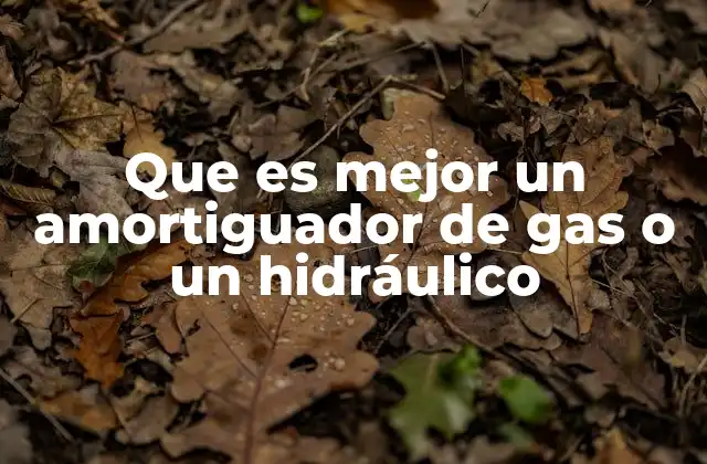 Cómo afecta la elección del amortiguador al rendimiento del automóvil