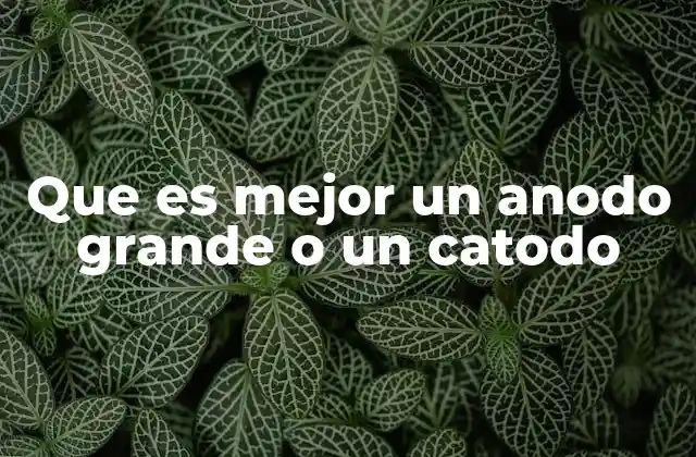 Que es Mejor un Anodo Grande o un Catodo 2 La importancia del ánodo y el cátodo en sistemas electroquímicos