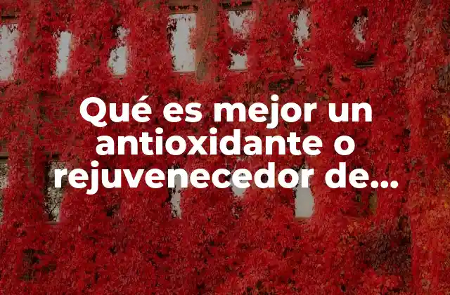 Cómo funcionan los antioxidantes y los rejuvenecedores en el organismo