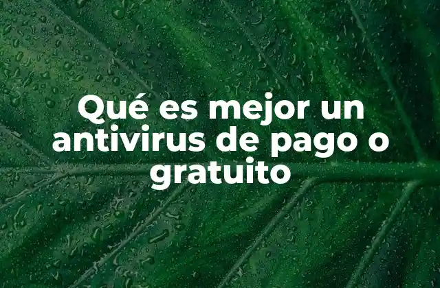 Qué es Mejor un Antivirus de Pago o Gratuito