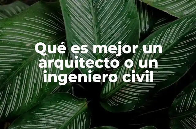 Qué es Mejor un Arquitecto o un Ingeniero Civil