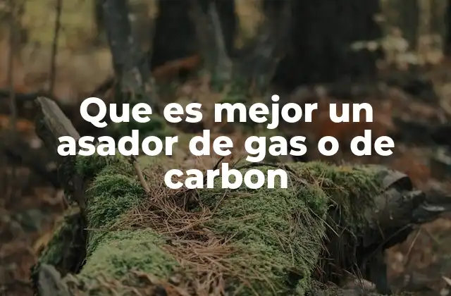 Características que diferencian un asador de gas de uno de carbón