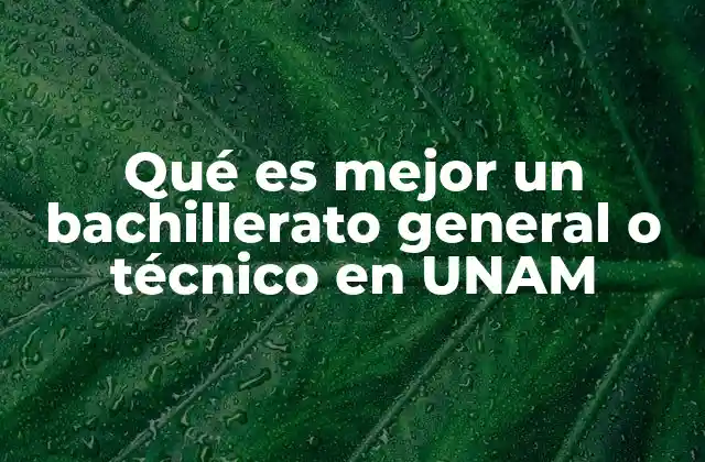Qué es Mejor un Bachillerato General o Técnico en Unam