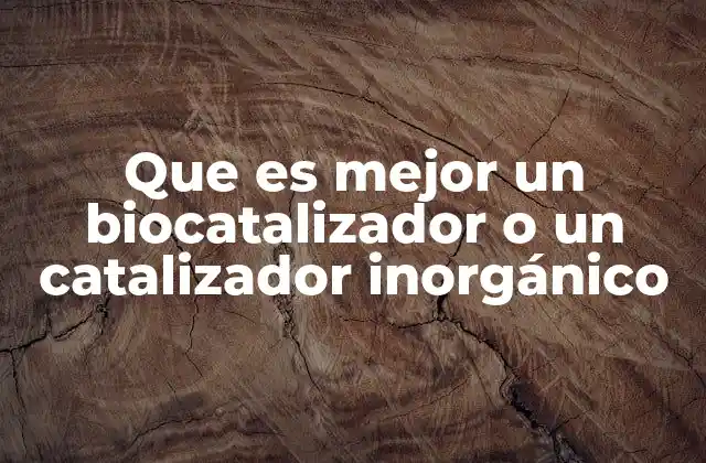 Que es Mejor un Biocatalizador o un Catalizador Inorgánico