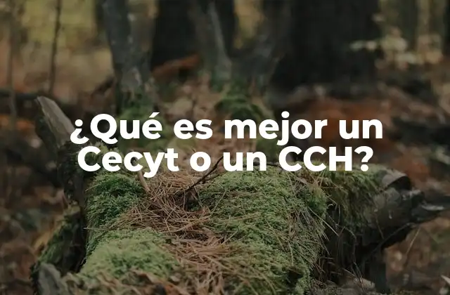¿qué es Mejor un Cecyt o un Cch?