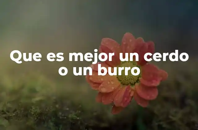 Que es Mejor un Cerdo o un Burro