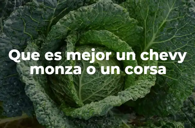 Que es Mejor un Chevy Monza o un Corsa