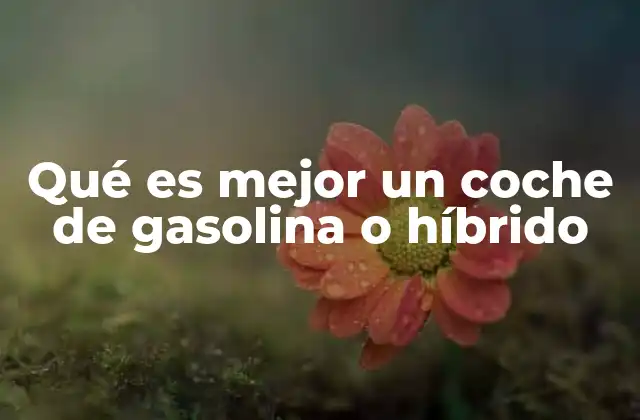 Qué es Mejor un Coche de Gasolina o Híbrido