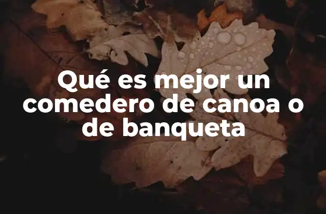 Qué es Mejor un Comedero de Canoa o de Banqueta
