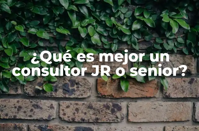 ¿qué es Mejor un Consultor Jr o Senior?
