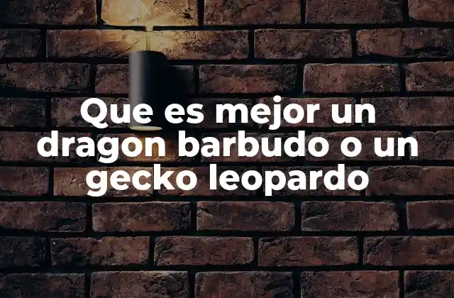 Que es Mejor un Dragon Barbudo o un Gecko Leopardo