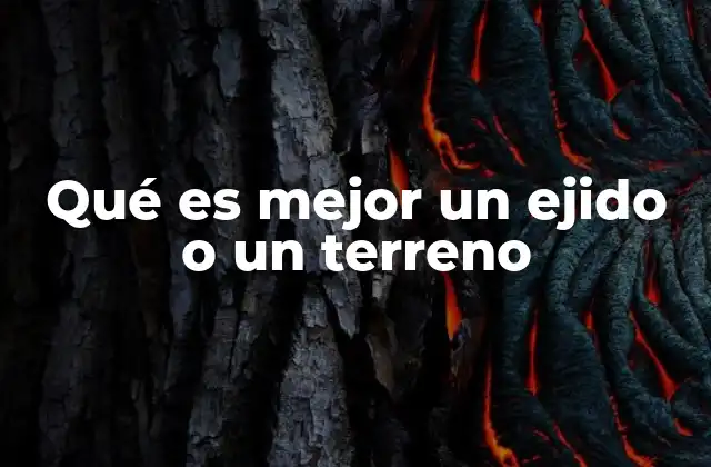 Qué es Mejor un Ejido o un Terreno