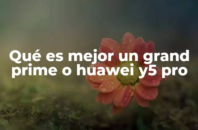Comparativa de rendimiento entre ambos modelos
