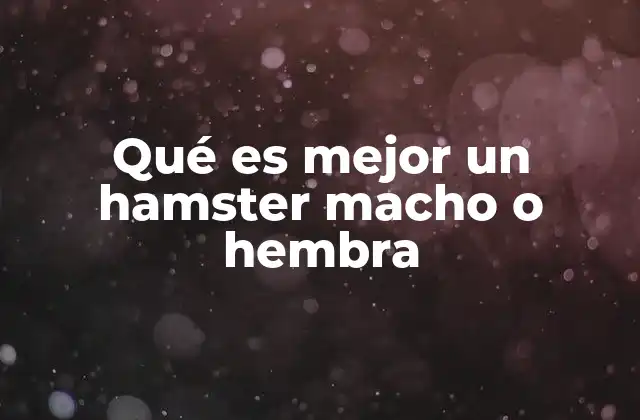 Qué es Mejor un Hamster Macho o Hembra