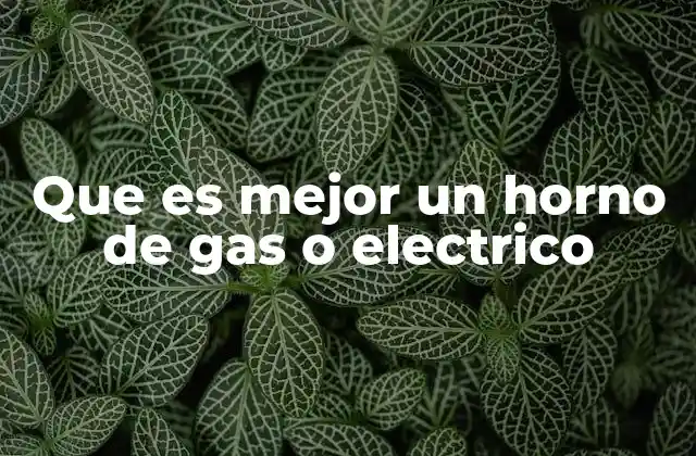 Que es Mejor un Horno de Gas o Electrico