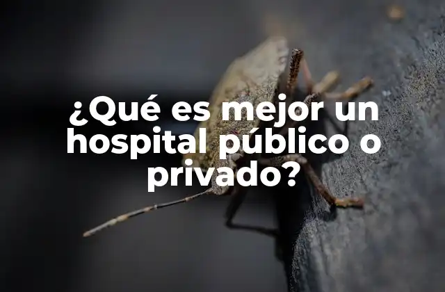 ¿qué es Mejor un Hospital Público o Privado?
