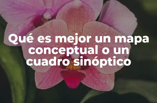 Qué es Mejor un Mapa Conceptual o un Cuadro Sinóptico