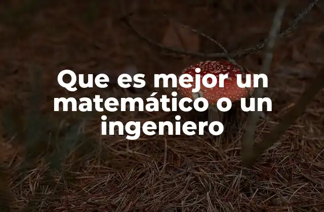 Que es Mejor un Matemático o un Ingeniero