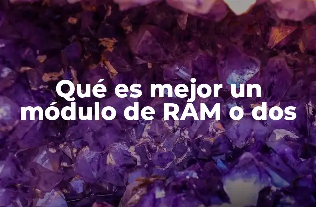 Qué es Mejor un Módulo de Ram o Dos