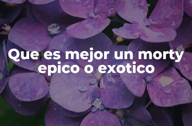 Que es Mejor un Morty Epico o Exotico