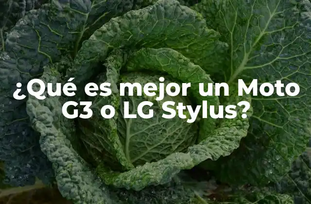 ¿qué es Mejor un Moto G3 o Lg Stylus?