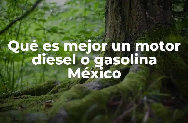Factores clave para elegir entre diesel y gasolina en México
