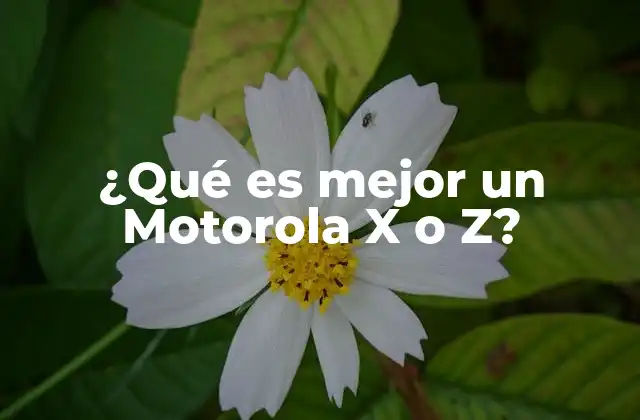 ¿qué es Mejor un Motorola X o Z?