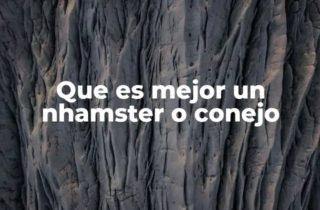 Que es Mejor un Nhamster o Conejo