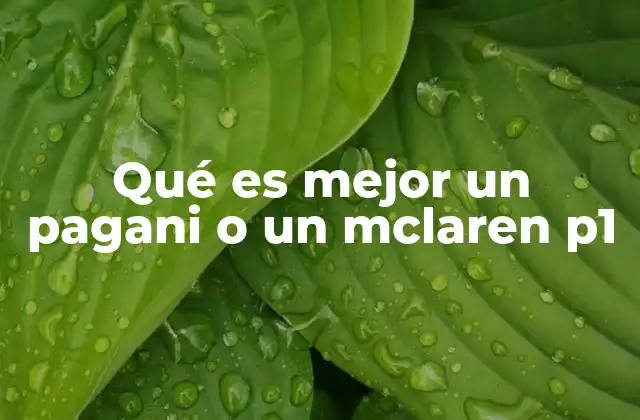 Qué es Mejor un Pagani o un Mclaren P1