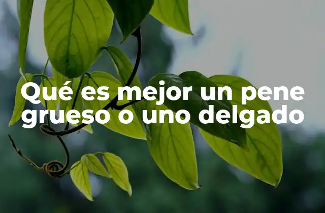 Qué es Mejor un Pene Grueso o Uno Delgado