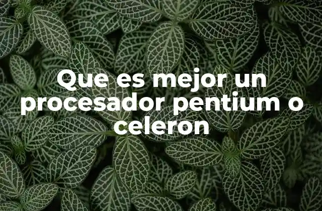 Que es Mejor un Procesador Pentium o Celeron