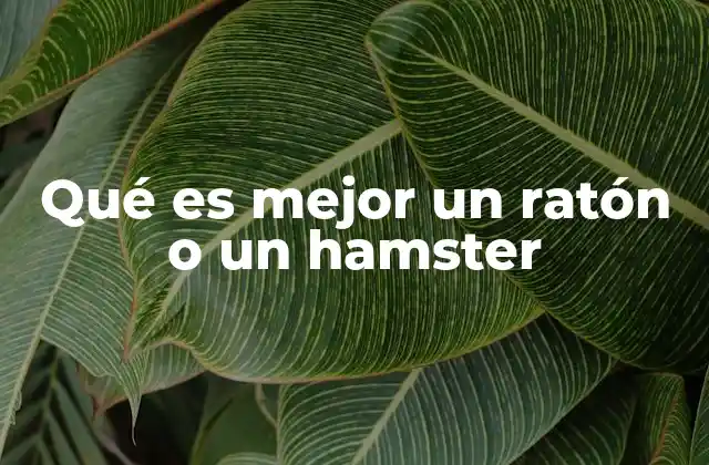 Qué es Mejor un Ratón o un Hamster