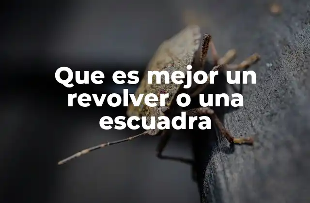 Cómo elegir entre dos herramientas esenciales