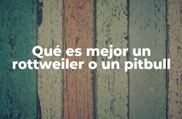 Características comparativas de ambos perros