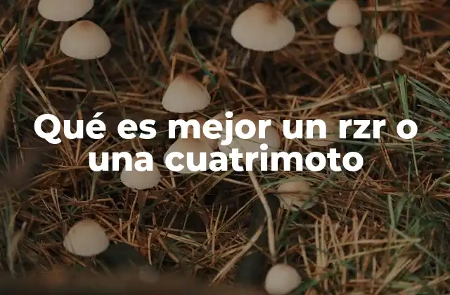 Qué es Mejor un Rzr o una Cuatrimoto