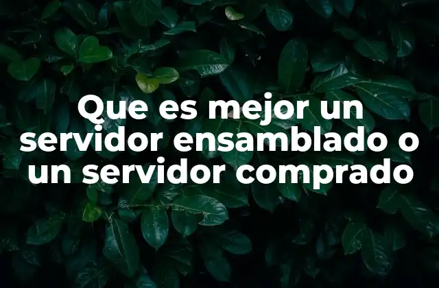 Que es Mejor un Servidor Ensamblado o un Servidor Comprado