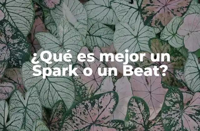¿qué es Mejor un Spark o un Beat?