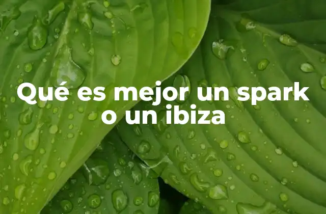 Qué es Mejor un Spark o un Ibiza