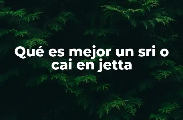 Qué es Mejor un Sri o Cai en Jetta