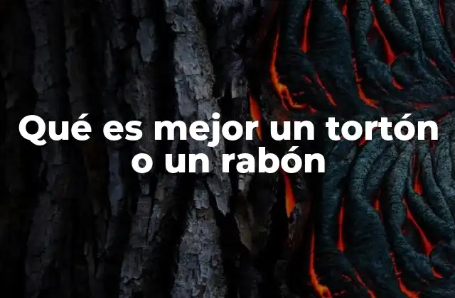 Qué es Mejor un Tortón o un Rabón