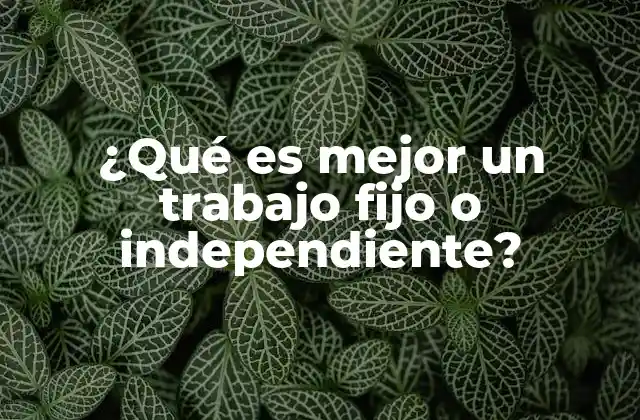 ¿qué es Mejor un Trabajo Fijo o Independiente?